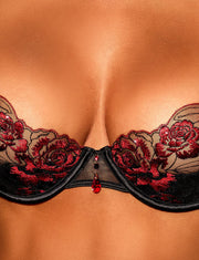 Bonita Bra & Bottoms Lingerie Set