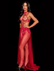 Esme Crimson Sheer Skirt