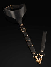 Shania Collar and Handle