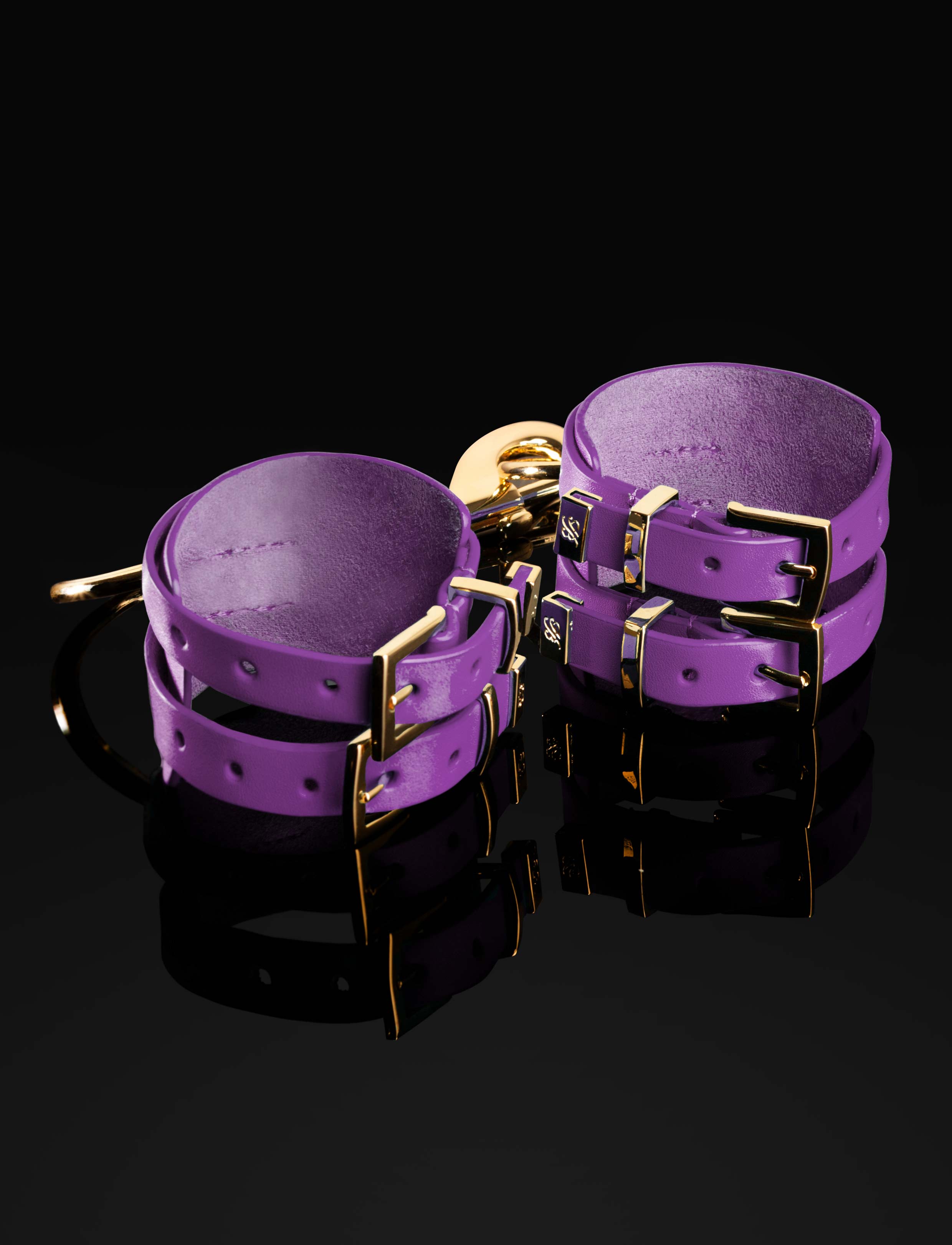 Amethyst Bondage Cuff Set